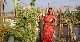 Vertical Garden Using Pvc Pipe Bihar