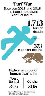 With Human Elephant Conflict Taking More Lives On Both Sides
