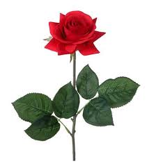 single artificial red rose stem