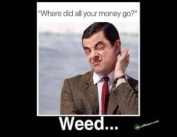 In the city of dreams.a nightmare has been unleashed.( taglines) Mr Bean Where Did All Your Money Go Funny Weed Memes Weed Memes
