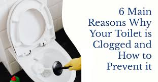 6 reasons why your toilet is clogged