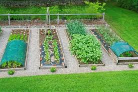 Shade Cloth To Protect Plants