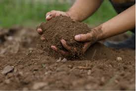 Determine Soil Moisture Content The