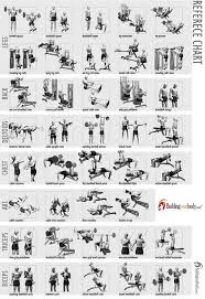 Free Gym Workouts For Women To Receive Muc H More