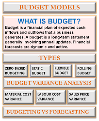 Budget Model Types Of Budgets Budget