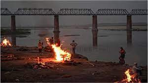 死体であふれる聖なるガンジス川、COVID-19の影響か インド - BBCニュース