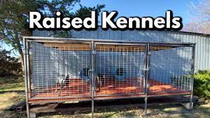 professional raised dog kennel build
