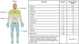 chemical composition of the human body