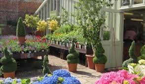 7 Fabulous Garden Centres In York