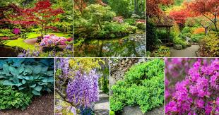 Grow In A Traditional Japanese Garden