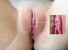 Große klitoris bilder