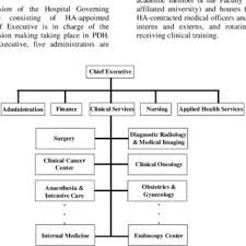 Organizational Chart Of Princess Diana Hospital Download