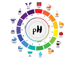 checking your ph before fermenting you