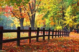 park in autumn fence fall pretty