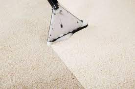 green dry carpet cleaning of