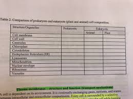 Solved Table 2 Comparison Of Prokaryote And Eukaryote P