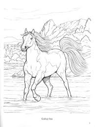 All types of horse coloring pages. Wonderful World Of Horses Coloring Book John Green 9780486444659 Christianbook Com
