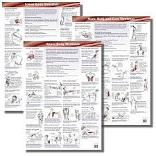 Anatomical Stretching Charts Click The Here Option To See