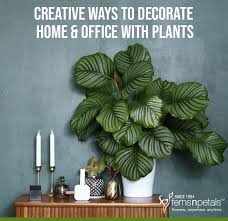 decorate home office with plants
