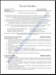 Resume Template   Of An It Professional Writing For Professionals      Professional Association of  Resume Writers and Career Coaches 