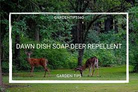 Dawn Dish Soap Deer Repellent Why It