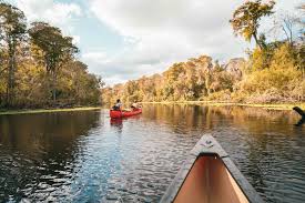 Hillsborough river state park kayaking. Florida State Parks Foundation Visit Tampa Bay