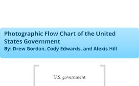 United States Government Flowchart By Drew Gordon On Prezi