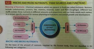 5 2 macro and micro nutrients food
