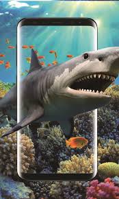 3d shark in the live wallpaper apk for