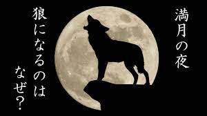 狼 と 月