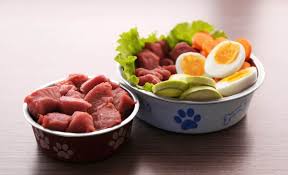 Raw Dog Food Pros And Cons Should I Feed My Dog Raw Diet