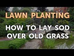 If you have an existing lawn, remove the grass. How To Lay Sod Over Old Grass Youtube