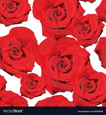 red roses wallpaper royalty free vector