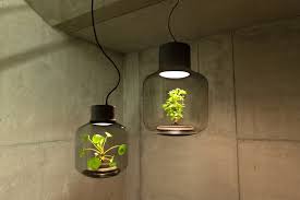 Innovative Led Lights With Plants Inside That Thrive In Environments Without Natural Light Lamp Plant Lighting Beautiful Lamp