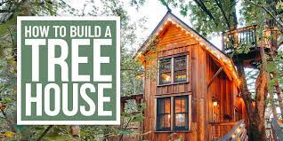 How To Build A Treehouse Take Your