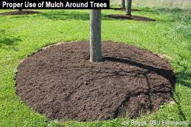 Tips For Choosing Mulch Where To Use