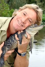Image result for steve irwin