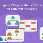 Organizational Chart Maker By Creately