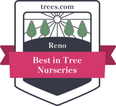the best tree nurseries in reno nevada