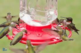 is bought hummingbird nectar safe