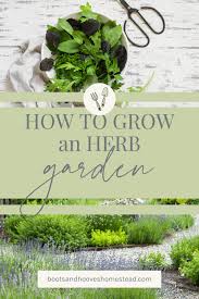 Herb Gardening For Beginners Boots