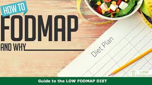 Low Fodmap Diet Foods Recipes Apps Guide Lowfodmap Com