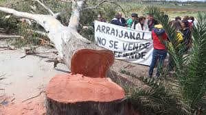 Resultado de imagen de Grupos ecologistas en Arraijanal de Malaga