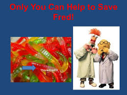 Only You Can Help To Save Fred This Is Fred Fred Has