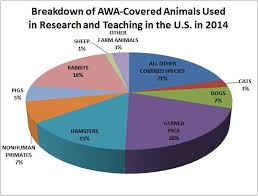 Animal Research Numbers Continue Downward Trend According To