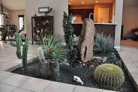 15 Cactus Garden Ideas Photos