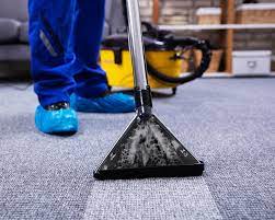 carpet cleaning service in northern