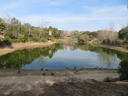 Pond Overfelt Gardens San Jose Ca