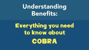 Cobra doesn't apply to everyone. Everything You Need To Know About Cobra Youtube