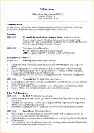 Sales assistant CV template